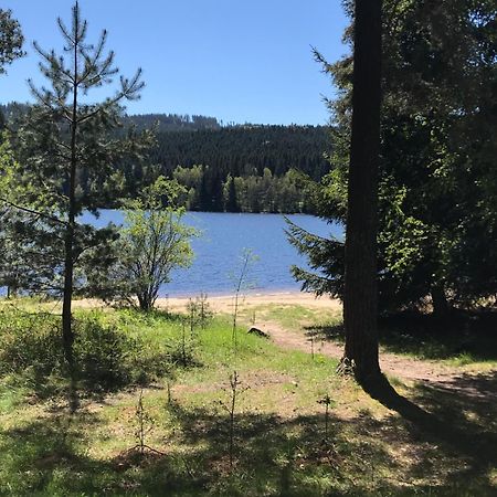 Rodinne Ubytovani Krauskopfovi Lipno nad Vltavou Exterior foto