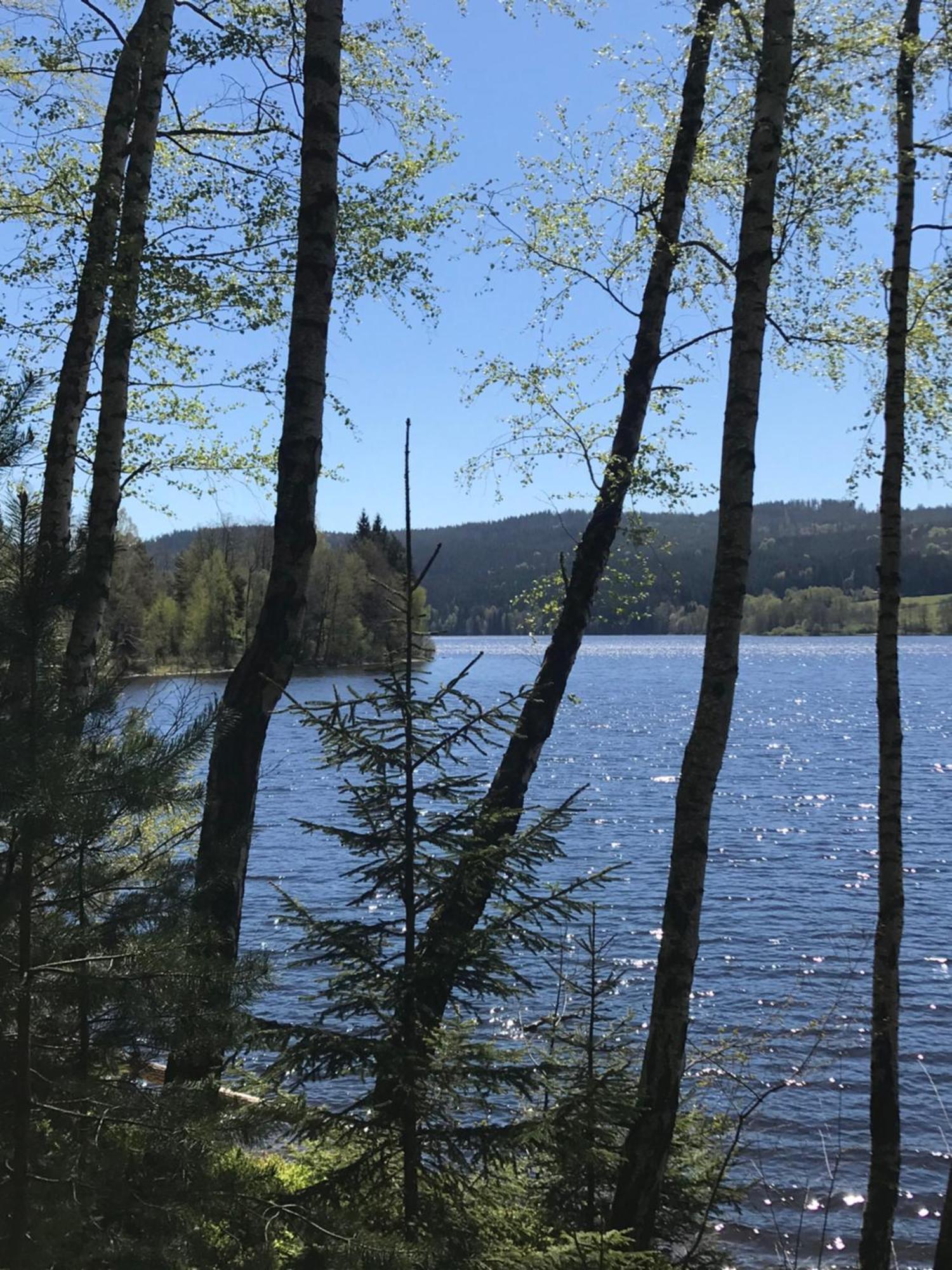 Rodinne Ubytovani Krauskopfovi Lipno nad Vltavou Exterior foto
